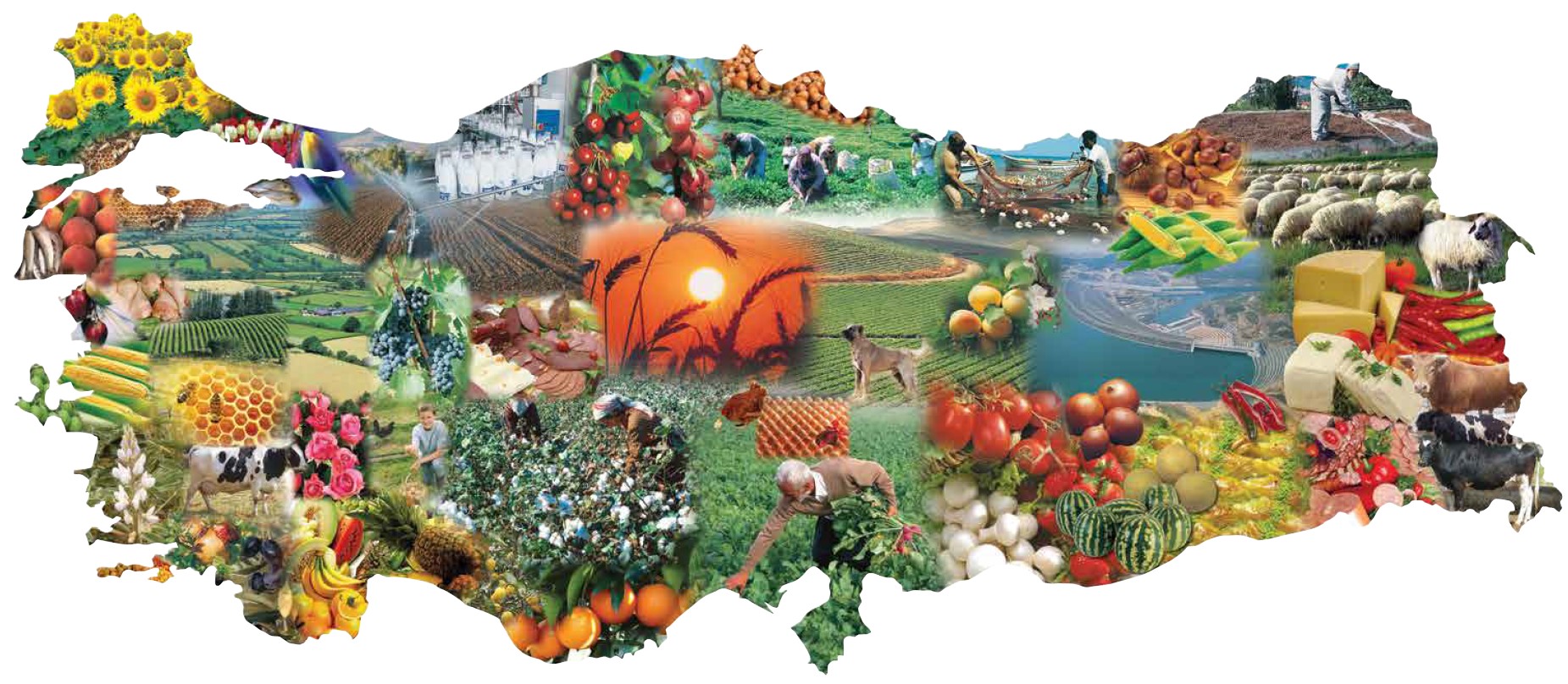TARIMSAL DESTEKLEMELERE İLİŞKİN KARAR YAYINLANDI